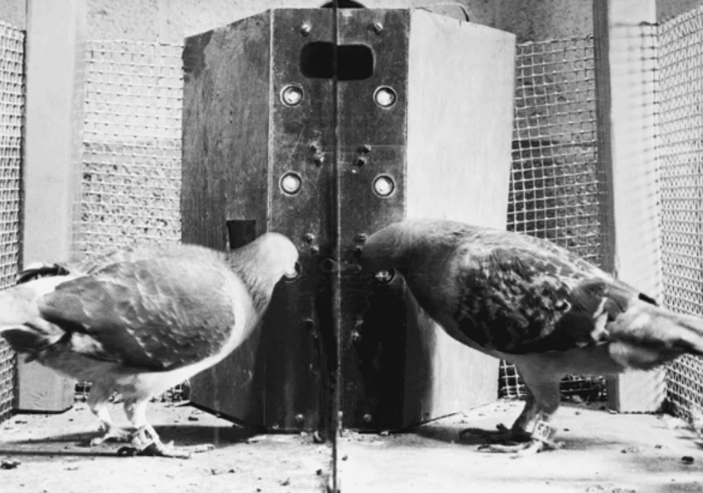 RL2. Before the Math: How RL Really Began